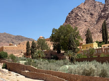 画像をギャラリービューアに読み込む, 2026年シナイ山巡礼ツアー