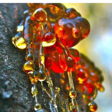 画像をギャラリービューアに読み込む, アンバー AMBER