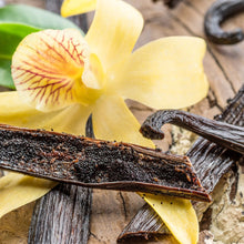 画像をギャラリービューアに読み込む, バニラ VANILLA