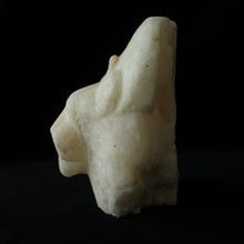 画像をギャラリービューアに読み込む, Sekhmet Head Statue 5 セクメト頭像 5