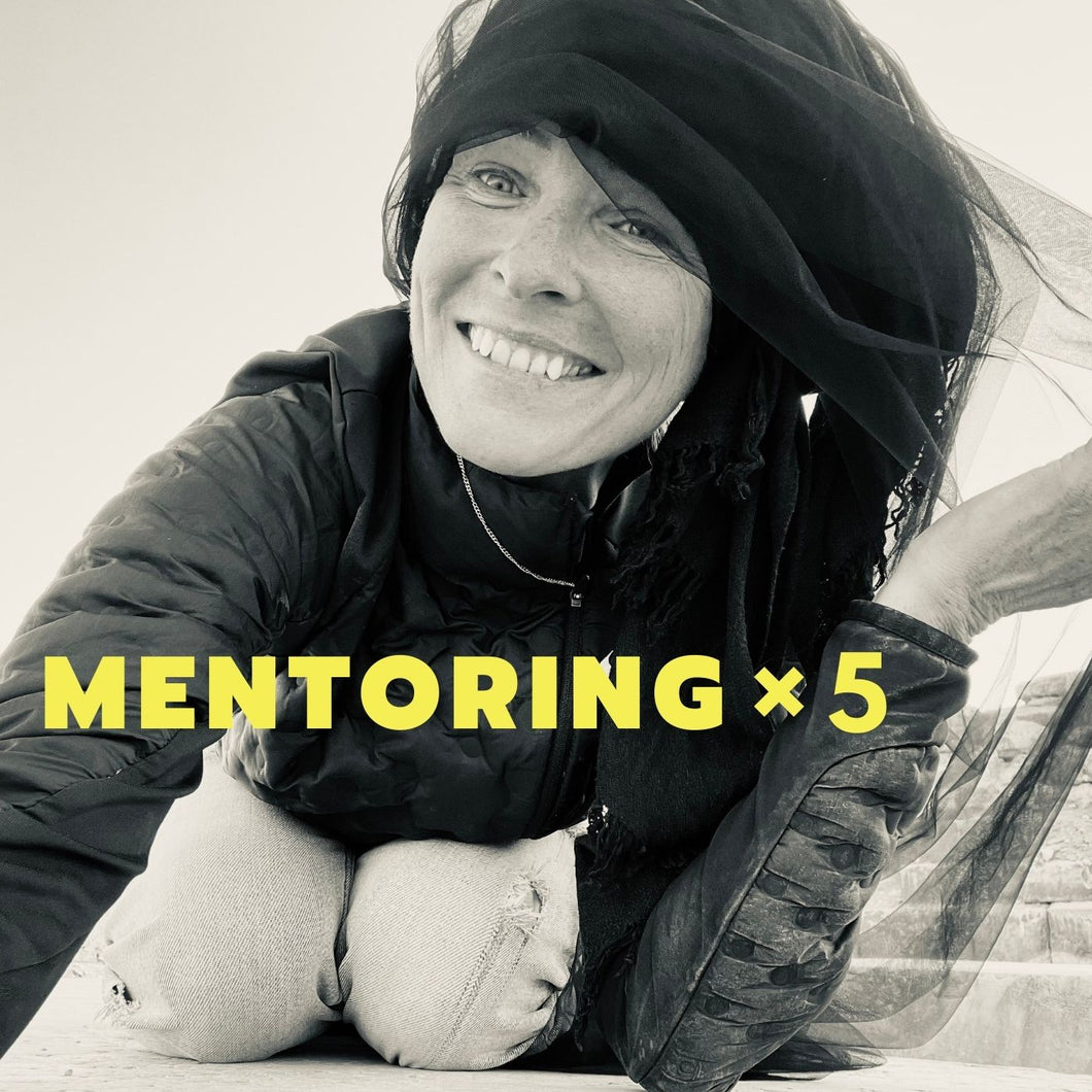 メンタリングパッケージ5回　Mentoring Package 5 sessions